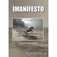 İmanifesto - Süleyman Pekin - Arel Kitap