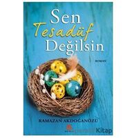 Sen Tesadüf Değilsin - Ramazan Akdoğanözü - Meriç Yayınları