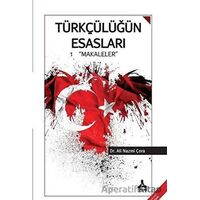 Türkçülüğün Esasları Makaleler - Ali Nazmi Çora - Sonçağ Yayınları