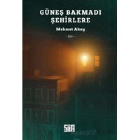 Güneş Bakmadı Şehirlere - Mehmet Akay - Şiirden Yayıncılık
