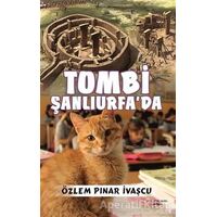 Tombi Şanlıurfa’da - Özlem Pınar İvaşcu - Sokak Kitapları Yayınları